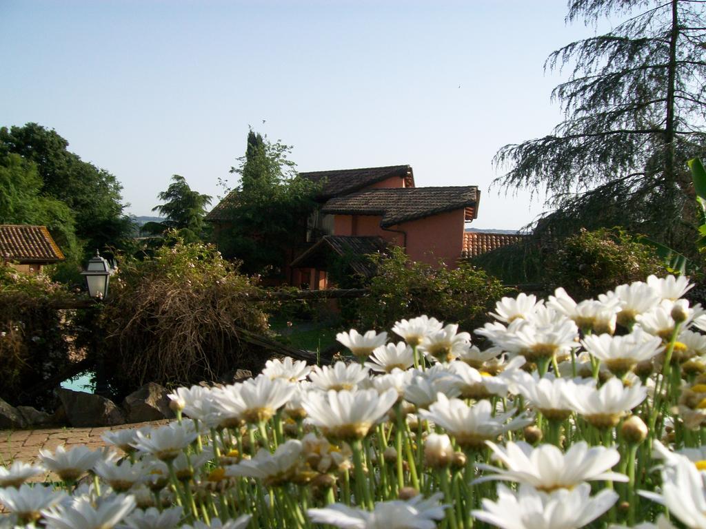 Antica Pietrara B&B フォルメッロ エクステリア 写真